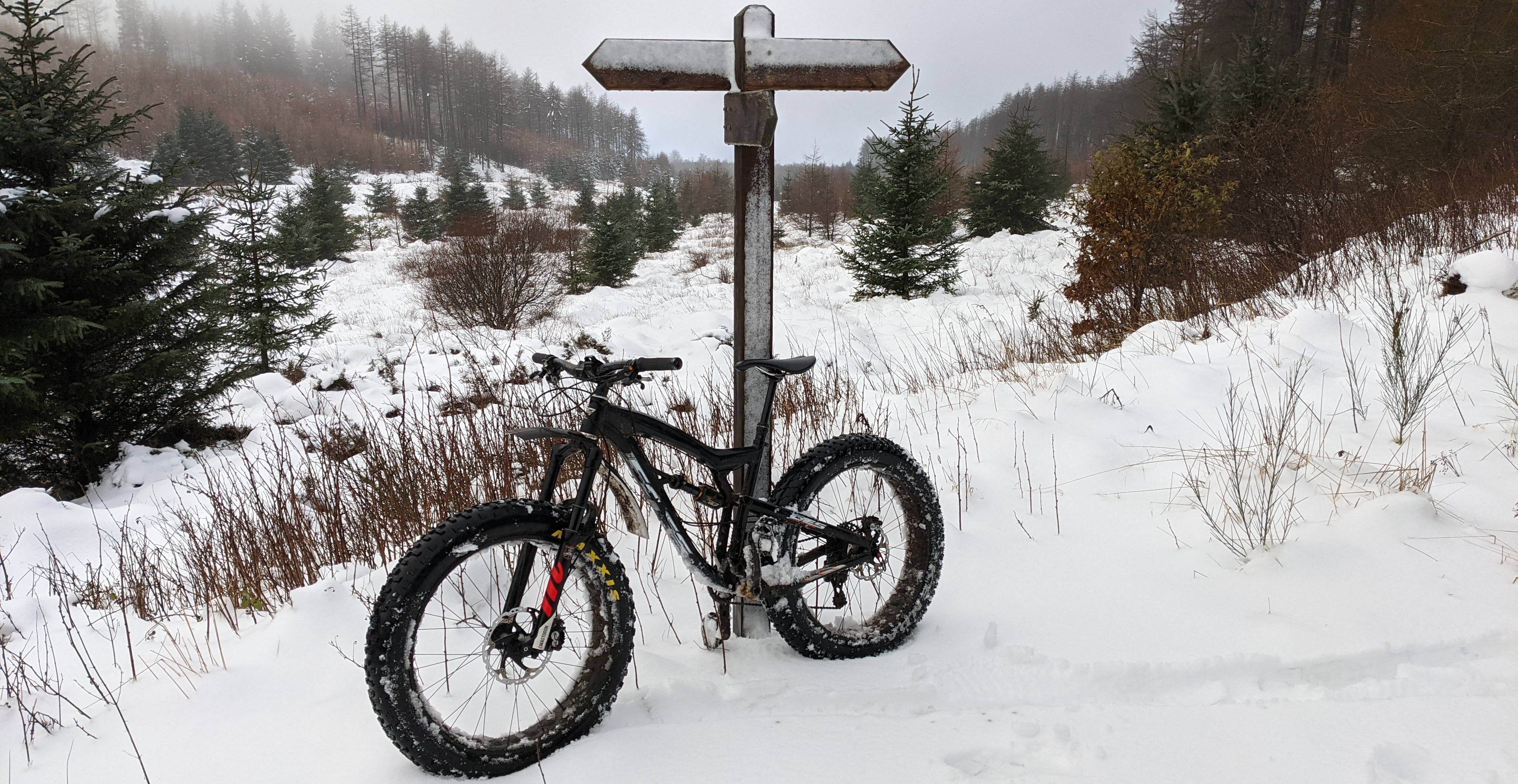 PXL_20210116_101837241